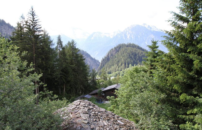 Glacier Views & Ski Trails - Foto 36