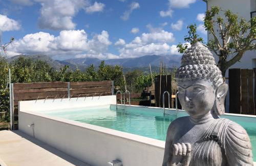 87029house - Photo 53