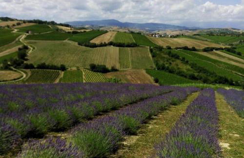 Il Melograno House - Foto 25