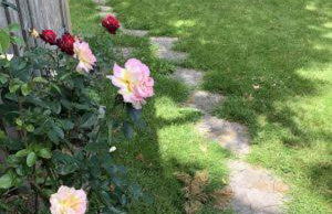 Landhaus Everschop - Foto 23