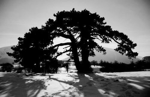 Tana Libera Tutti 3 Nature, Yourself, Love - Foto 29