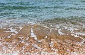 Alphaville Naia Guarajuba AP 21 - Foto 67