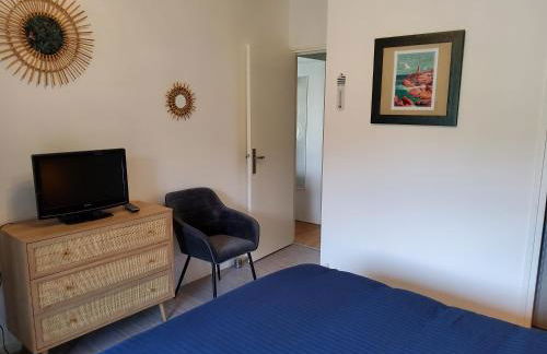 Les goélands - Foto 13