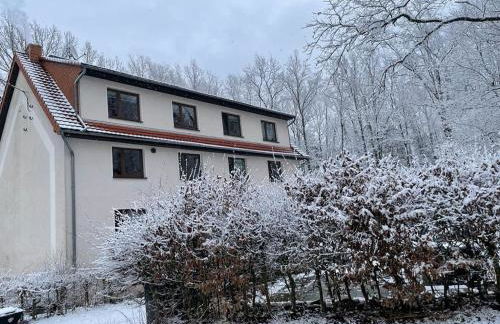 Apartment am Hochwald - Foto 15