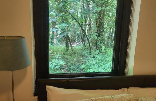 Bumbeldink - Foto 16