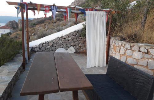 Hydra Erato - Foto 22