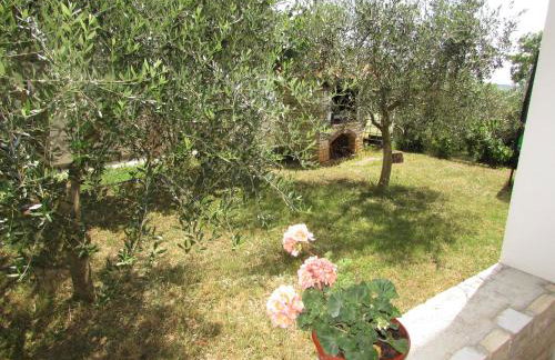 Apartments Goga - Foto 6