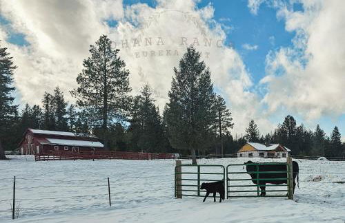 Ohana Ranch - Foto 62