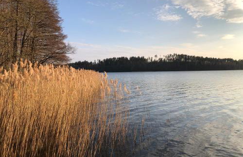 Family House Gowidlino - Foto 22