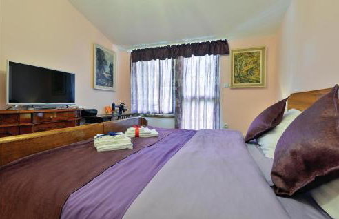 Amazing Home In Vinica With Sauna - Foto 32