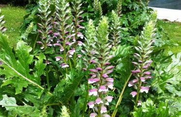 Fattoria di Migliarino - Foto 36