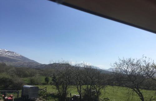 Tyddyn Perthi Farm - Foto 6