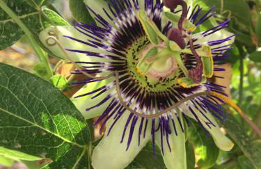 WeCrete Apartments - Foto 10