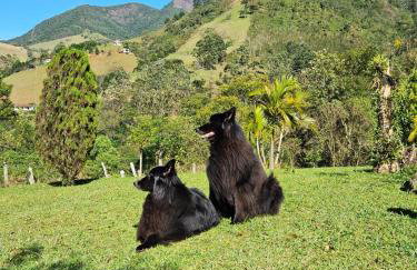 Casa de campos são Francisco Xavier Xavier - Foto 70