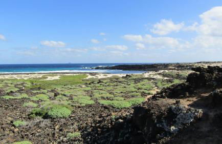 MarySol 6 terrace with sea views, close to the sea - Foto 54