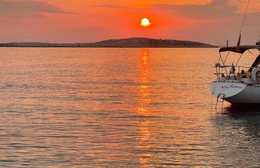 Loza Blue, Premuda island - Foto 27