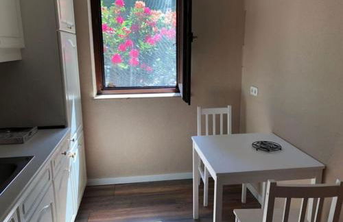 Holiday Apartment Silberborth - Foto 35