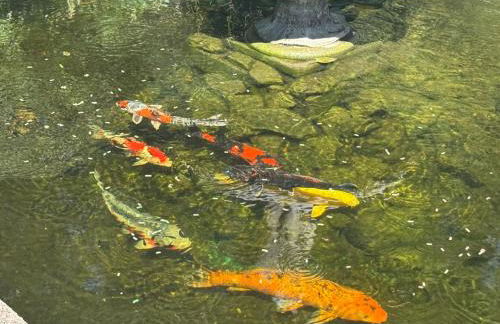 Superbe villa de 5 suites, climatisation, piscine, tennis, hauteurs de St Paul - Foto 75