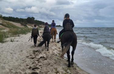 Apartament HEL - Foto 11