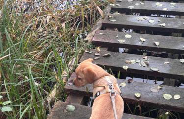 Słoneczne Wzgórze - Foto 10