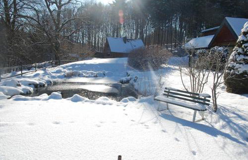 Thüringer Waldidyll - Foto 11