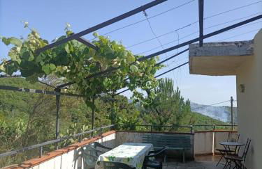 Casa in COLLINA DI ORTI'- REGGIO CAL - Foto 7