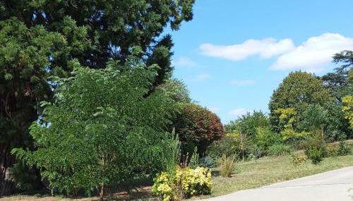 Gîte Le Sequoia - Foto 4, Garden