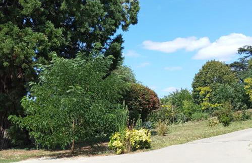 Gîte Le Sequoia - Foto 4