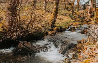 Mill Cottage - Foto 18