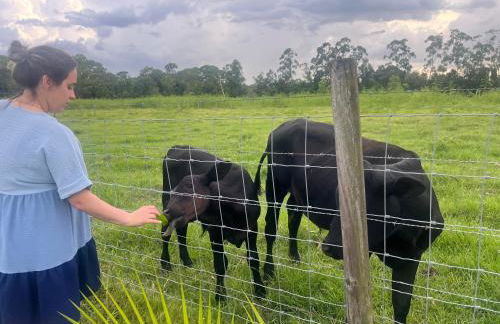 BlockHaven near Legoland, Disney - Foto 7