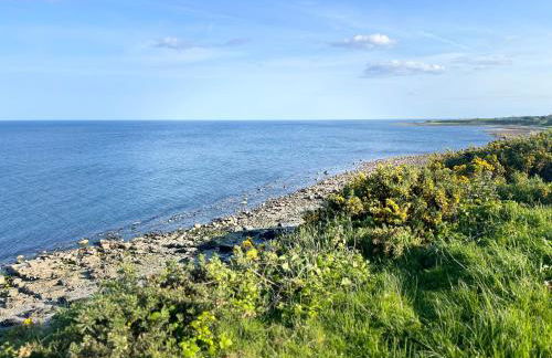 Forget-me-not Holidays - Foto 17