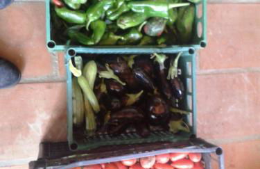 Marco & Andrea Agriturismo Collepina - Foto 22