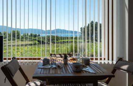 Suleiro Caldebarcos - Foto 17