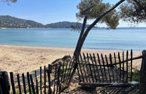 Location appartement au lavandou - Foto 1