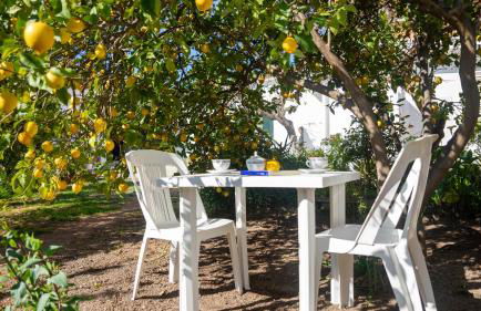 Appartamenti Melograno e Fico - Foto 54