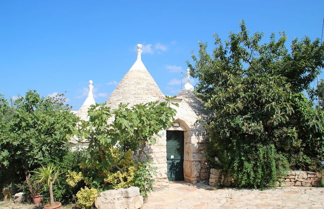 Bioagriturismo Masseria Sciaiani Piccola - Photo 50