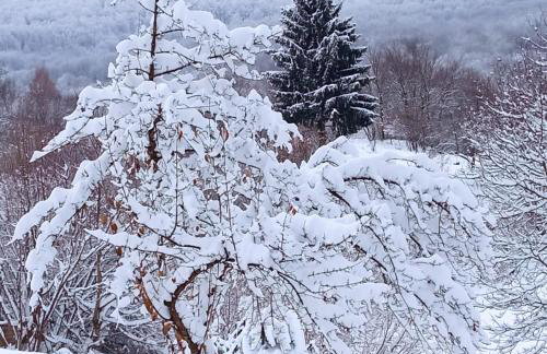 Wooden Villa Old Oak Plitvice Lakes - Foto 76