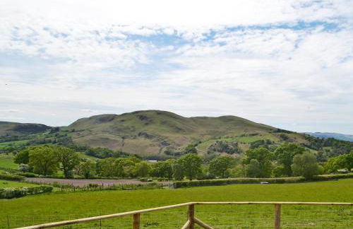 Bluebell Lodge - Foto 18