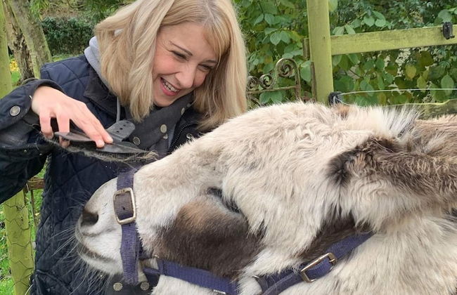 Starry Meadow - Foto 12