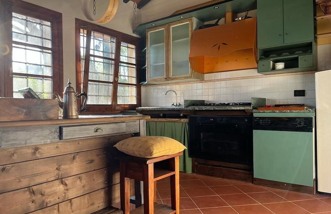 Gatto Bianco Tizzauli - Foto 29