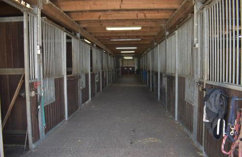 Idylle auf dem Reiterhof bei Husum - Foto 9