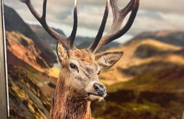 Cozy bungalow - Photo 3