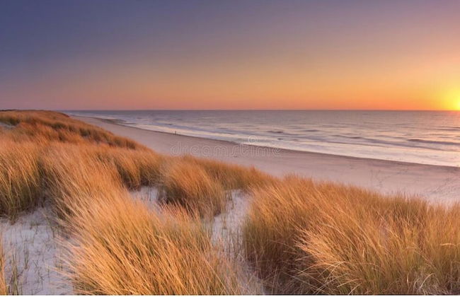 Turnberry Serviced Apartments - Photo 65