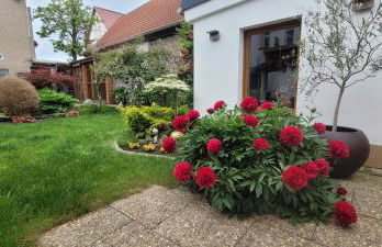 Lux Ferienwohnung altes Landwarenhaus mit Garten und zubuchbarer Sauna - Foto 35
