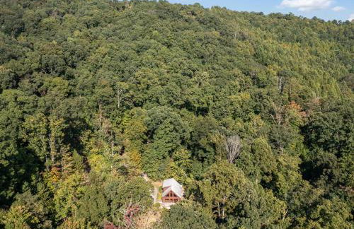 Spectacular Log Cabin Home 45 minutes to Asheville - Foto 45