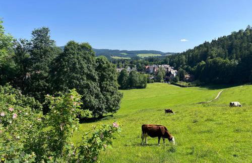 Ferienwohnung Waldglück - Foto 32