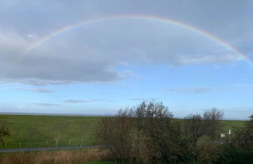 Grüne Düne Meerblick Friedrichskoog Spitze - Foto 26