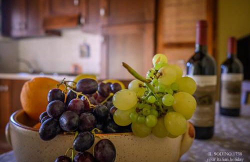 Il Sodino 1738 - Locazione Turistica - Photo 63