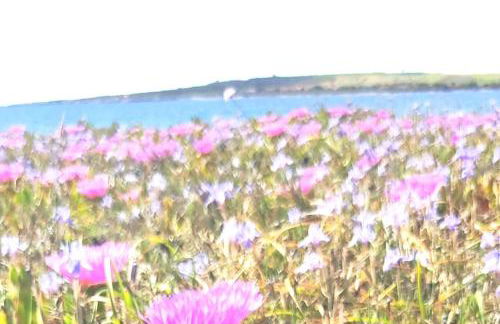 AMPIO APPARTAMENTO MARE CA Domus Collection - Foto 28