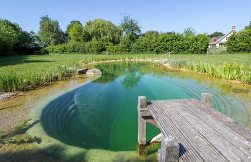 Blackthorn - Photo 13